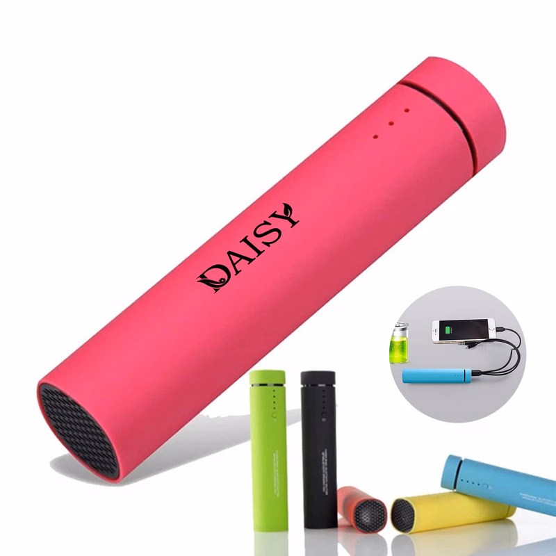 Portable multifunction speaker power bank