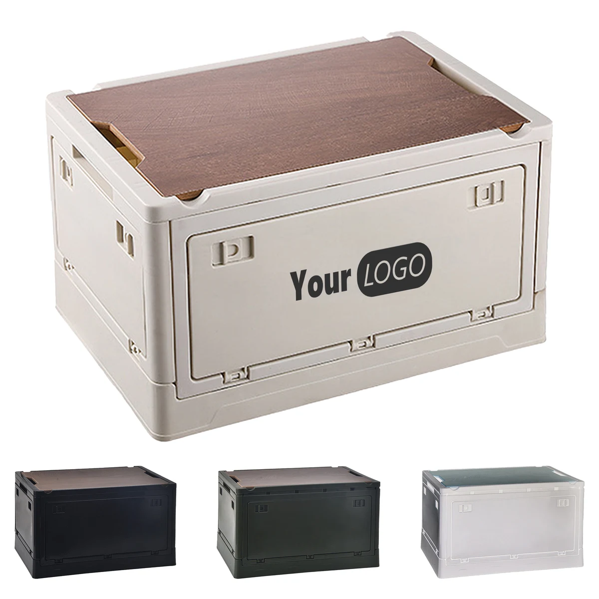 Plastic Trunk Storage Box 1