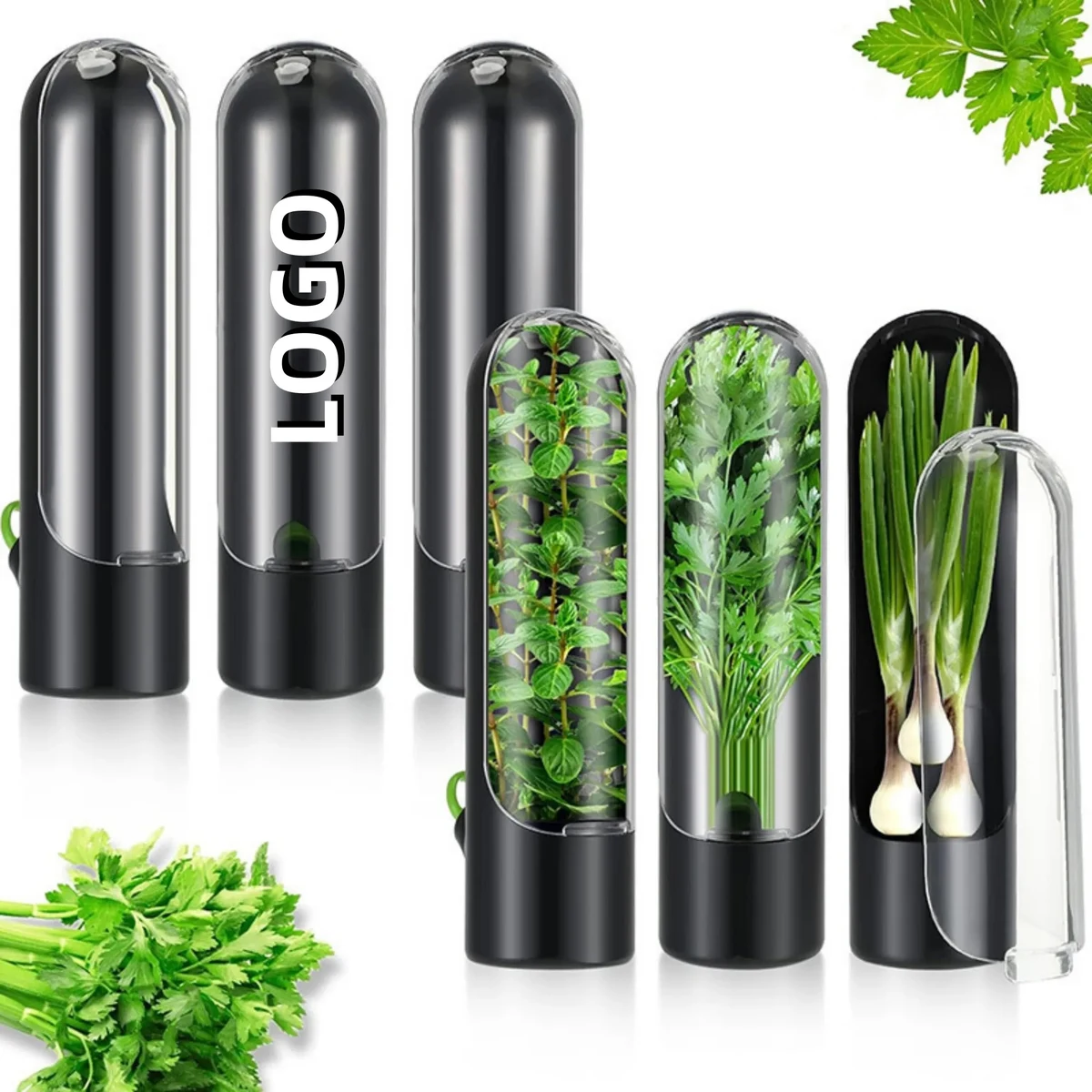 ABS Herb Vegetable Preservation Box 1