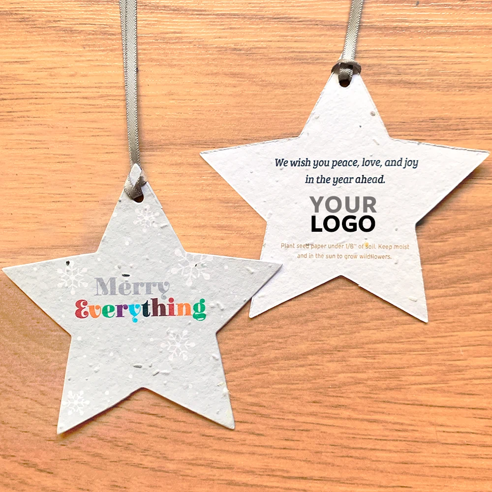Merry Everything Star Plantable Holiday Ornaments 1