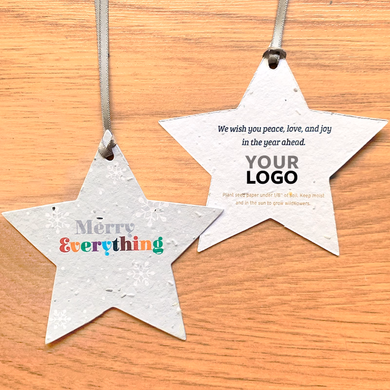 Merry Everything Star Plantable Holiday Ornaments