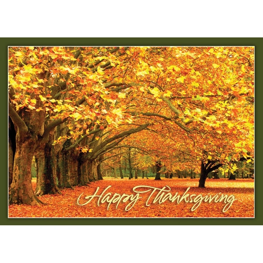 Canopy of Gold Thanksgiving Greeting Card 1