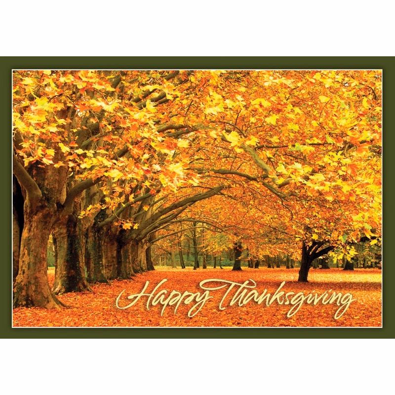 Canopy of Gold Thanksgiving Greeting Card