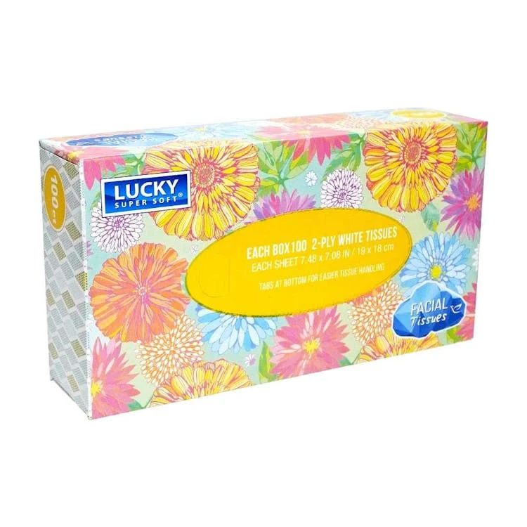 Facial Tissues - 100 Count 1