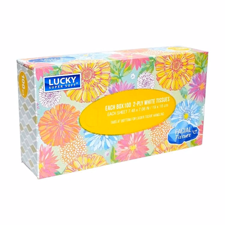 Facial Tissues - 100 Count