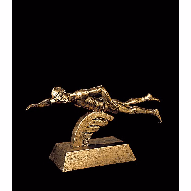 5 1/2" x 8 1/2" Swimming Male Signature Series Award