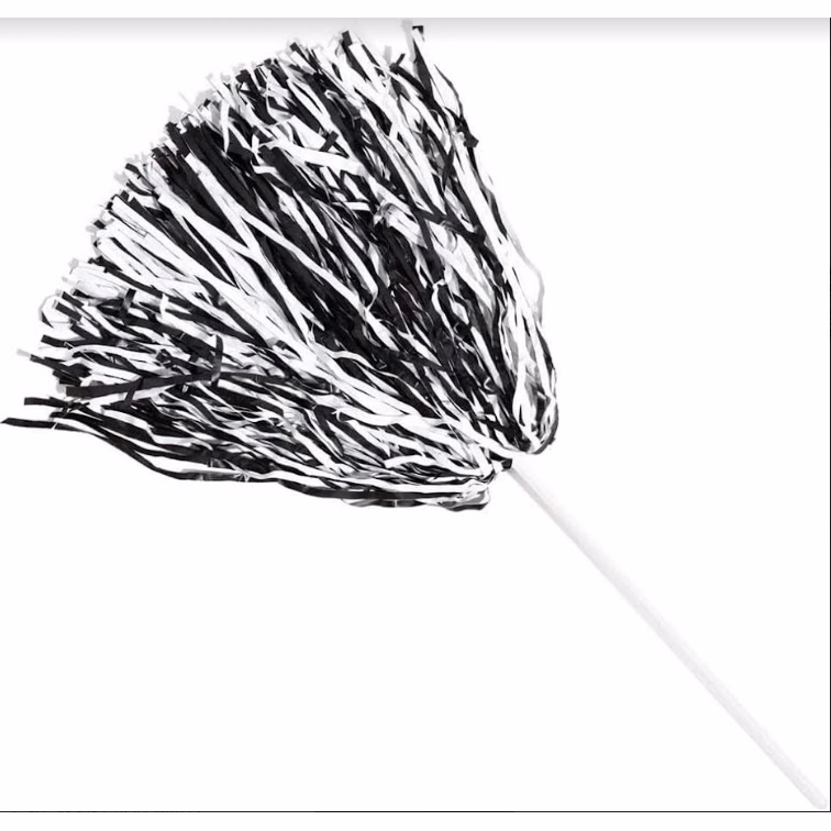 Pom Pom