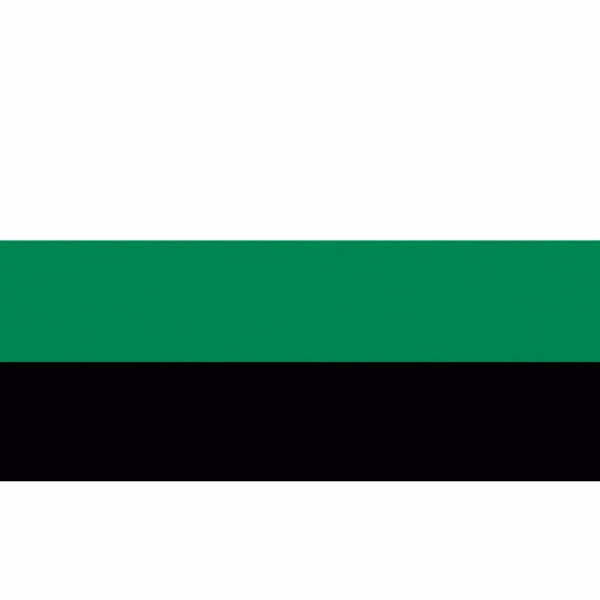 Neutrois Deluxe Flag
