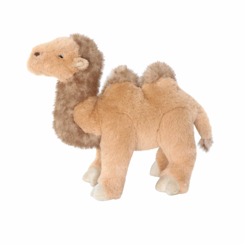 Camel