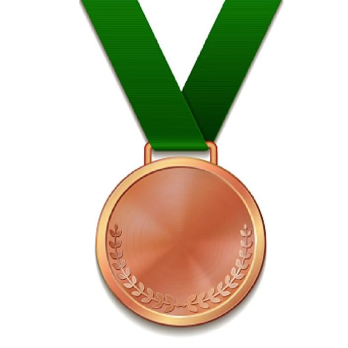 Customized Antique Copper Plated Zinc Alloy Medal 1