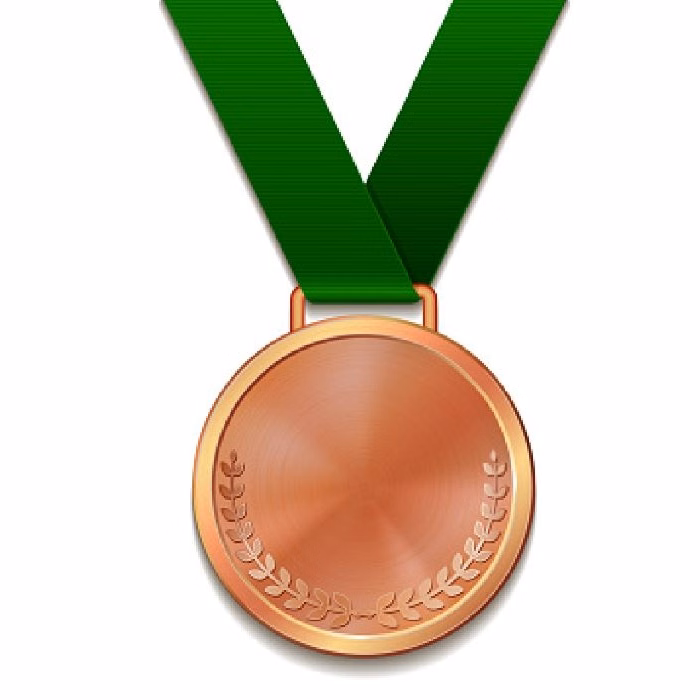 Customized Antique Copper Plated Zinc Alloy Medal