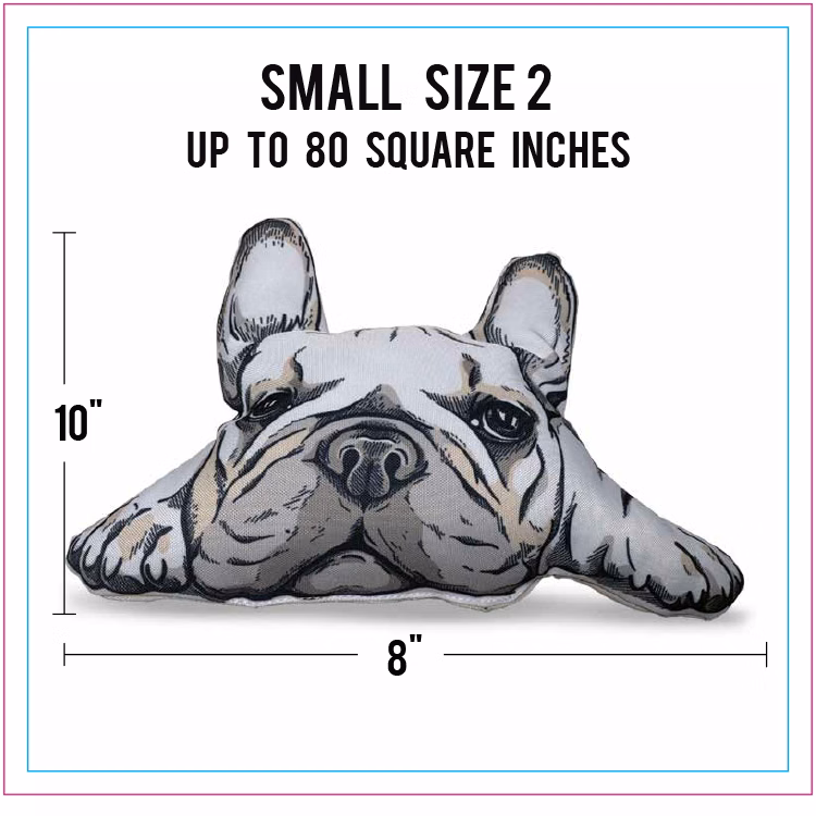 Small Size 2 Full Color Life-Like Pillow (Up to 80 square inches)
