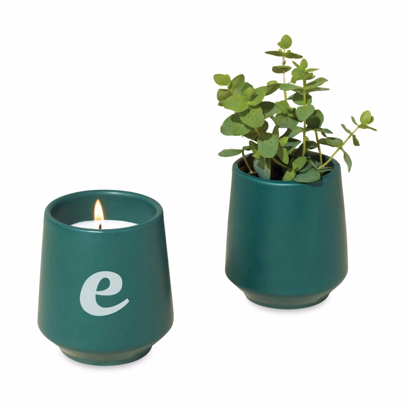 Modern Sprout® Rooted Candle