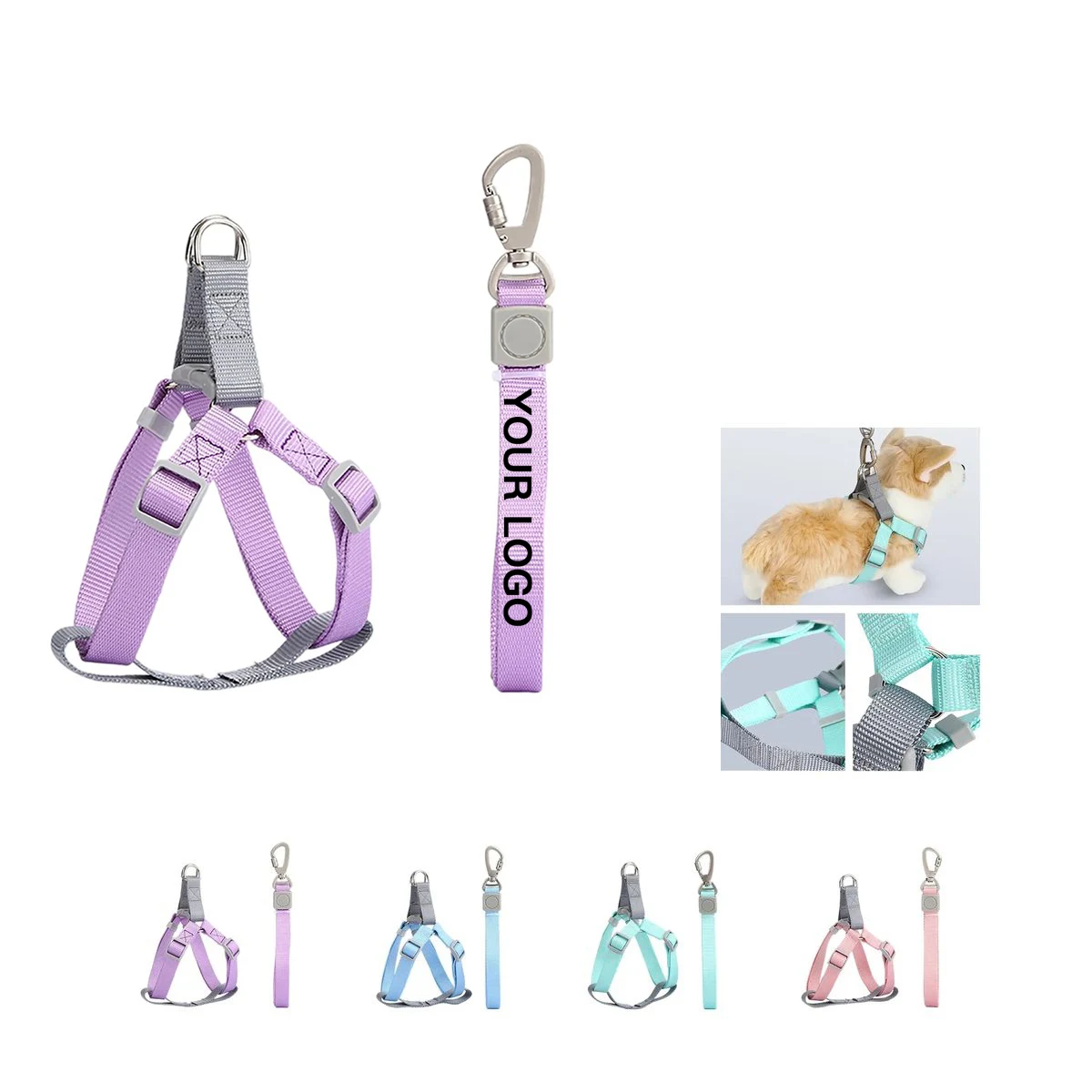 Durable Nylon Car and Walk Pet Leash 1