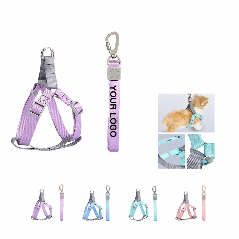 Durable Nylon Car and Walk Pet Leash