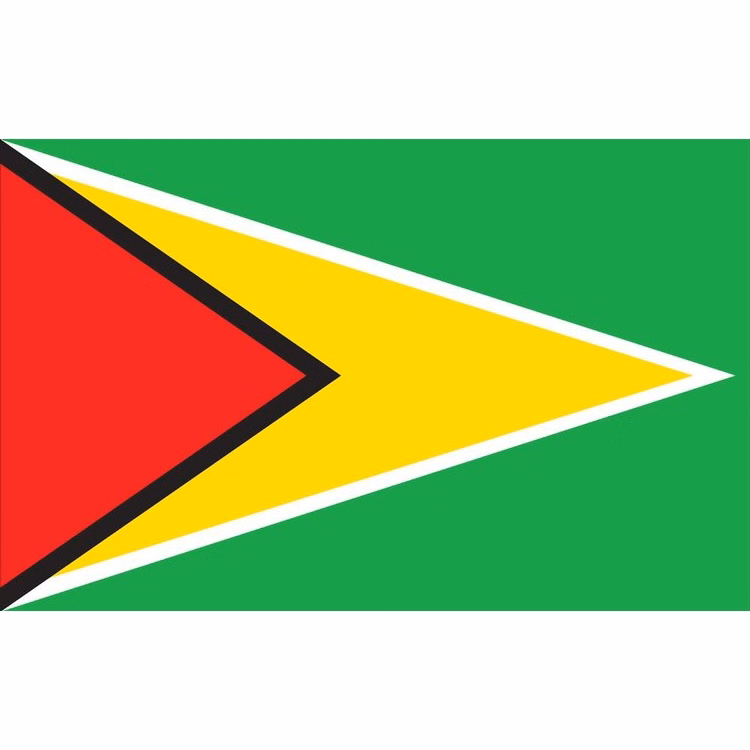 Guyana Flag - 2' x 3' - Nylon