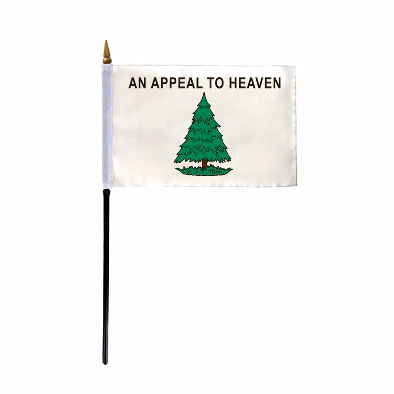 Special Historical Stick Flag - Washington's Cruisers