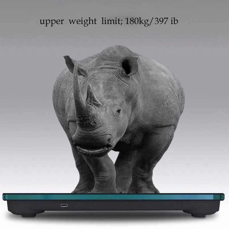 Scale for Body Weight