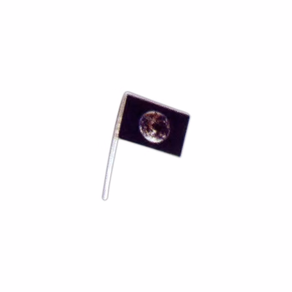 Earth Antenna Flag