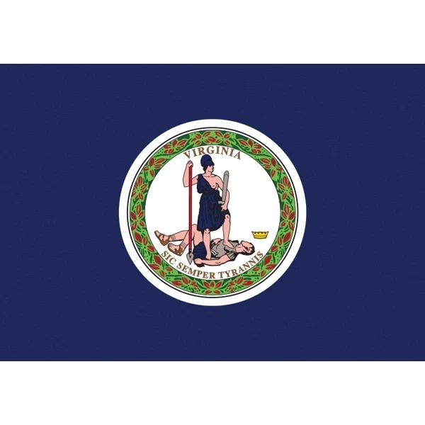 Virginia Official Car Flag 1