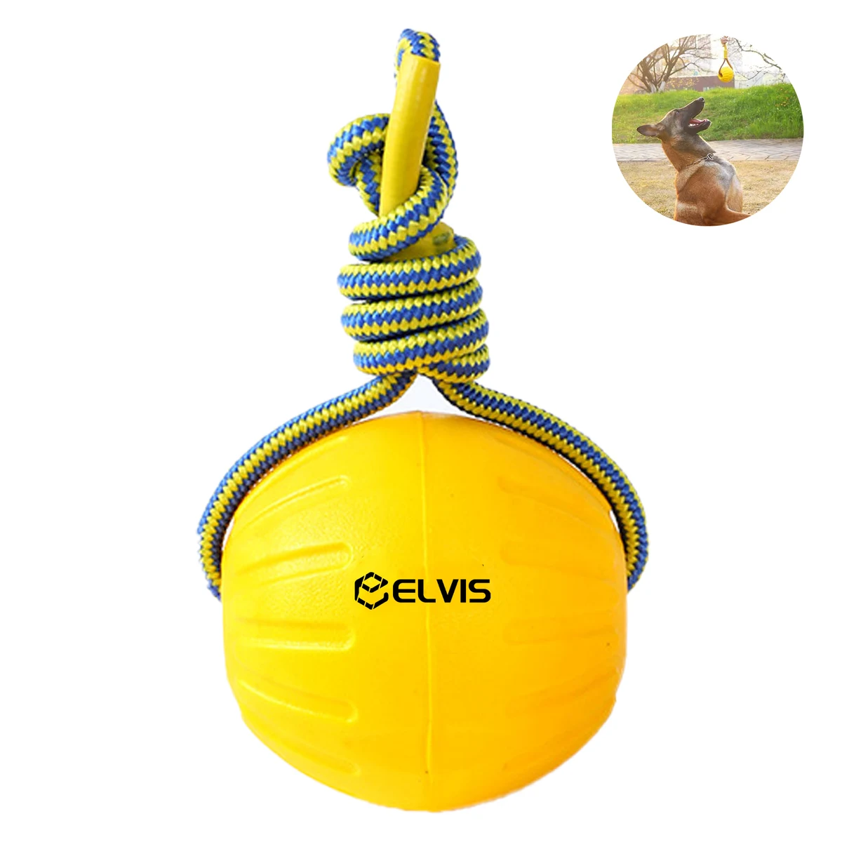 Dogs gnawing on pull tab pet toys 1