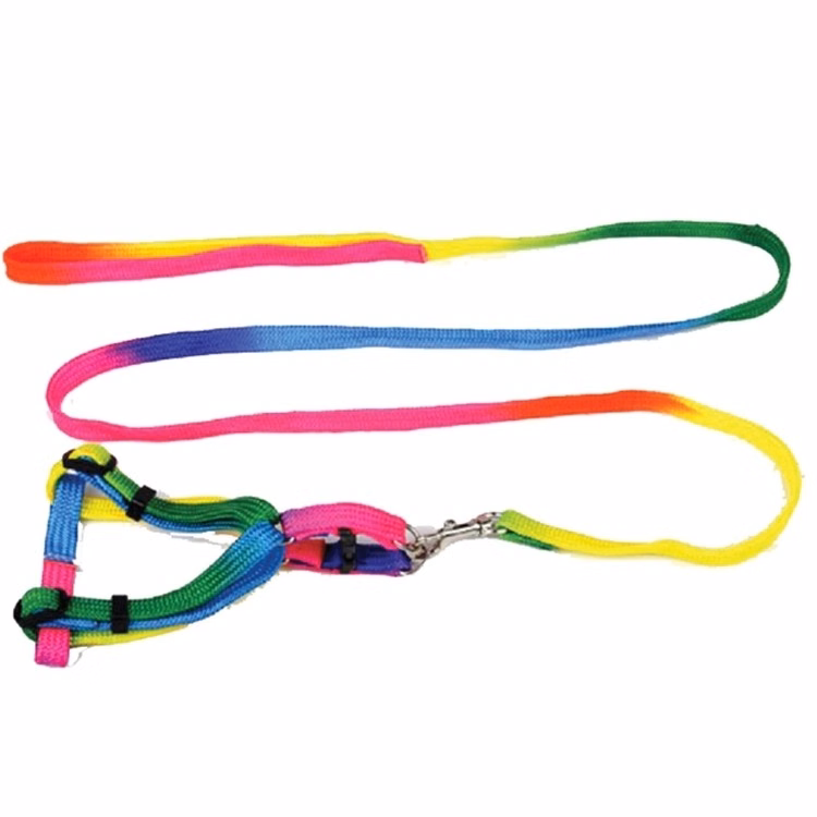 Rainbow Color Nylon Dog Rope