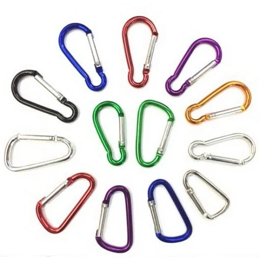 Stainless Carabiner Clip 1