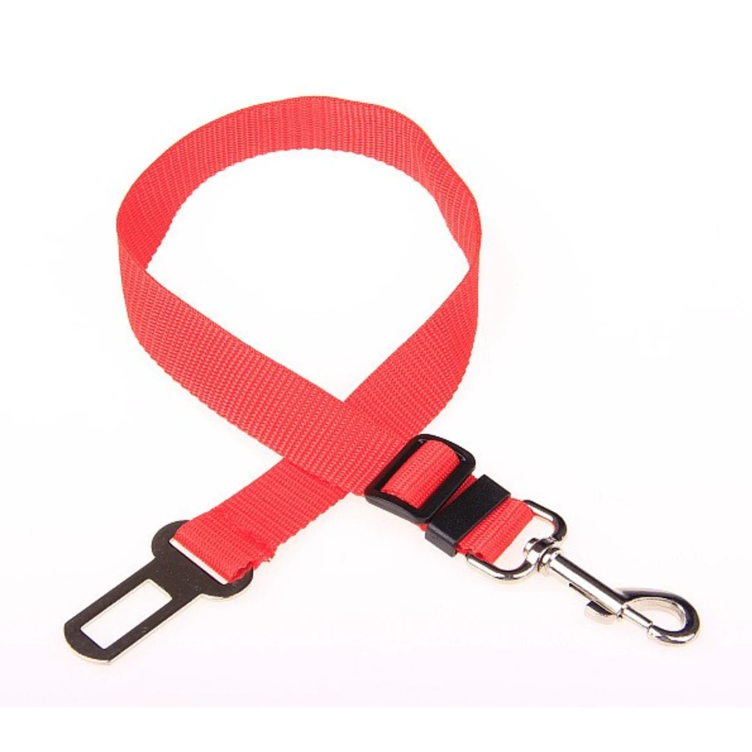 pet car leash 1