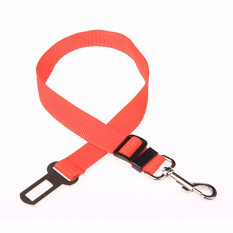 pet car leash