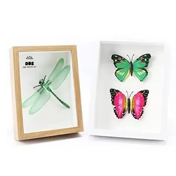 Elegant Hollow Glass Specimen Display Frame 1