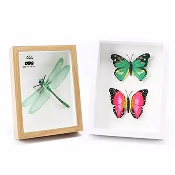 Elegant Hollow Glass Specimen Display Frame