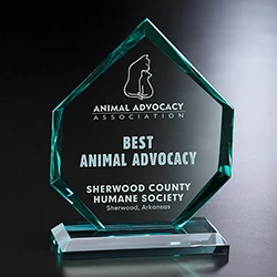 Titan Award 1