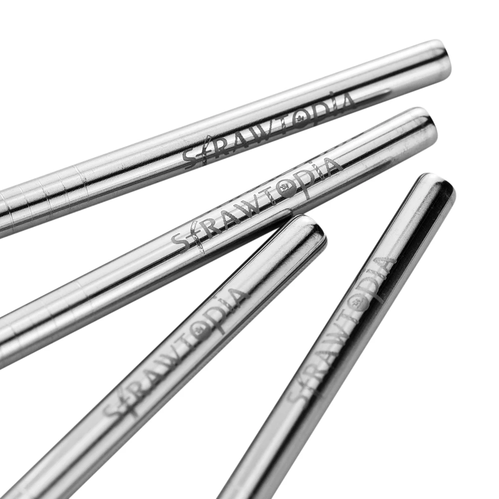 Stainless Steel Metal Straw 1