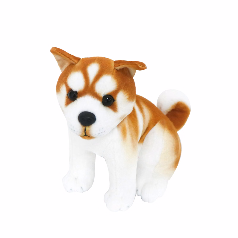 Standing Small Akita Dog