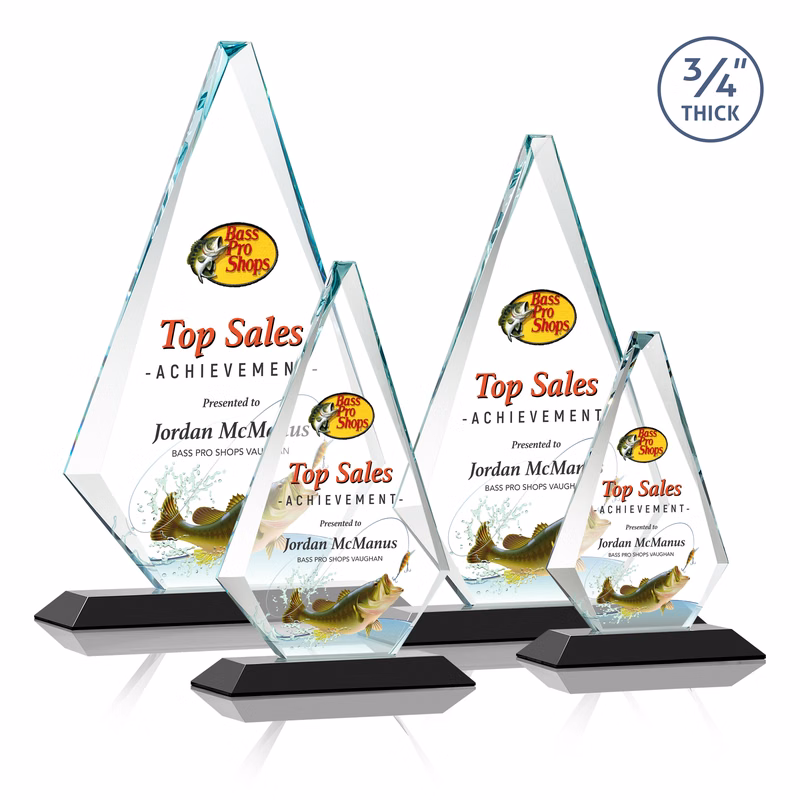 Windsor VividPrint™ Award - Black