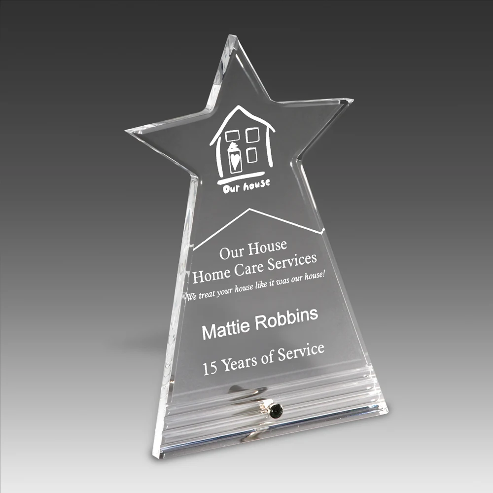 7" Fasten Stand Up Star Burst Award 1