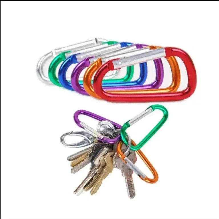 Carabiner keychain 1