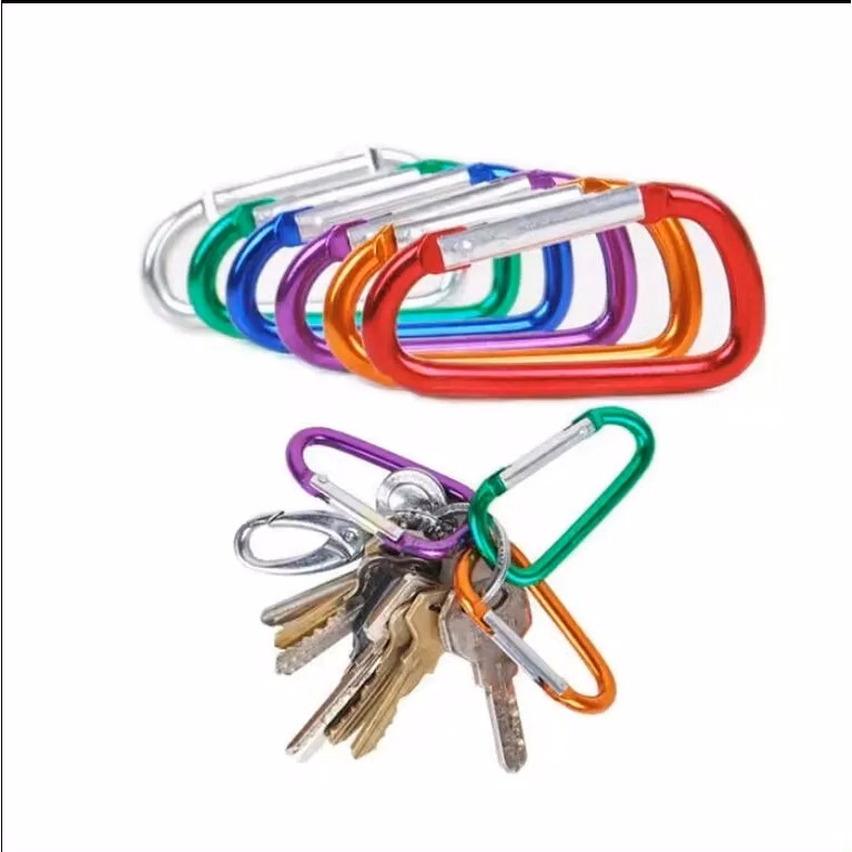Carabiner keychain