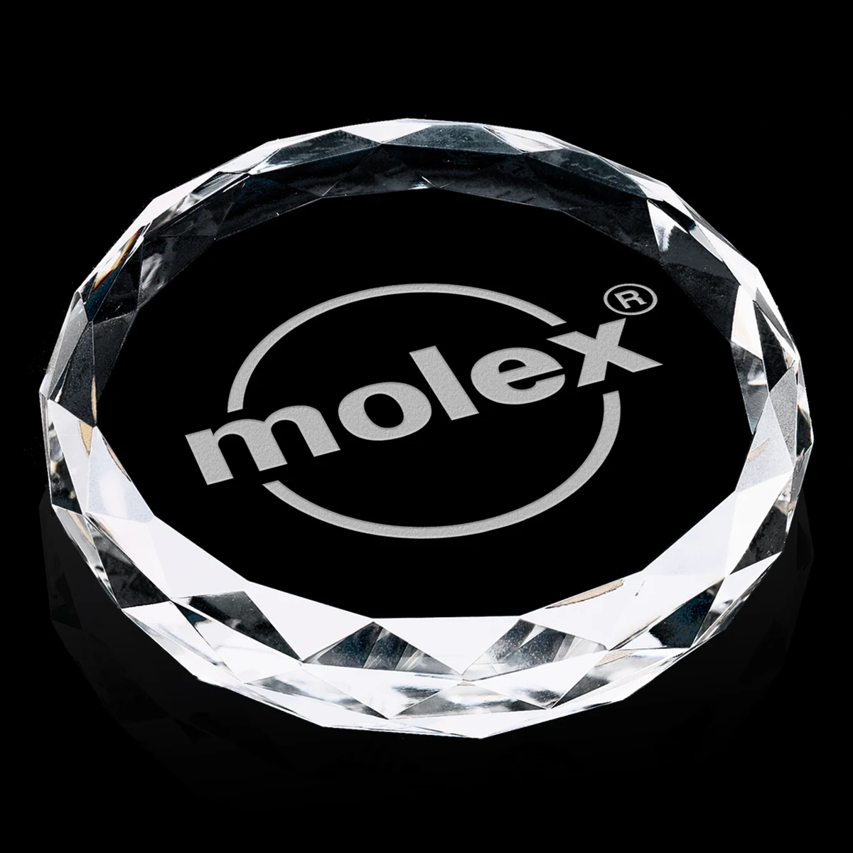 Round Paperweight 1