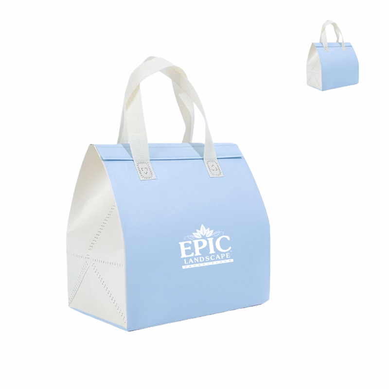 Insulated Laminated Non Woven Lunch Cooler Bag