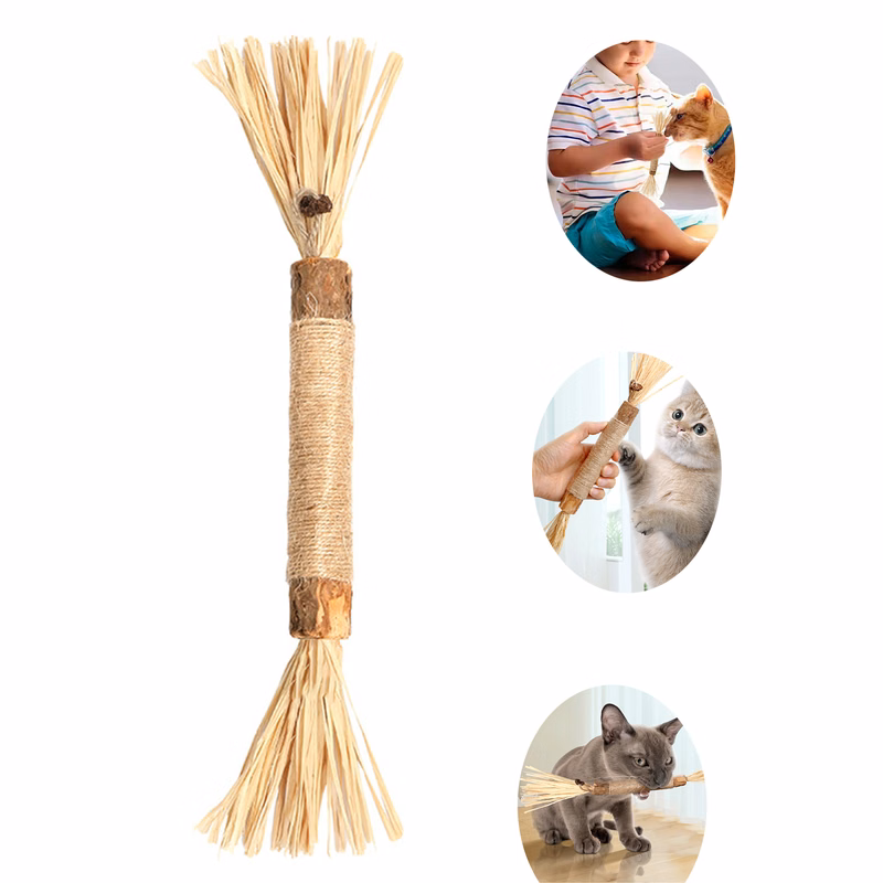 Silvervine Chew Stick Toy