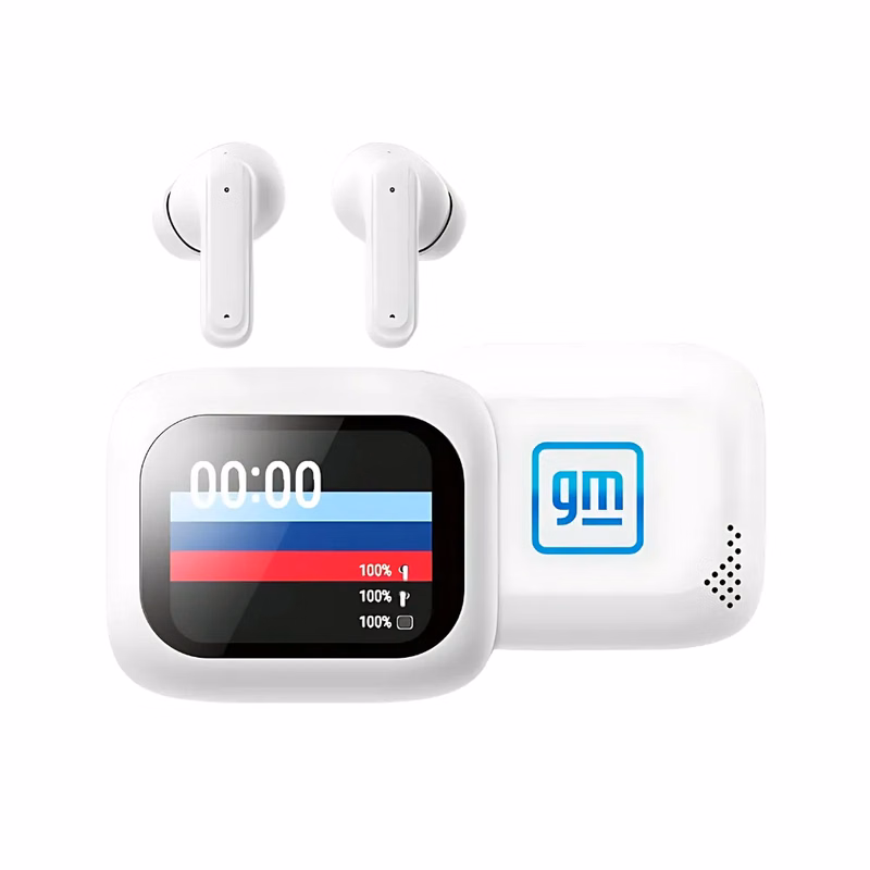 Active Noise Cancelling Earbuds