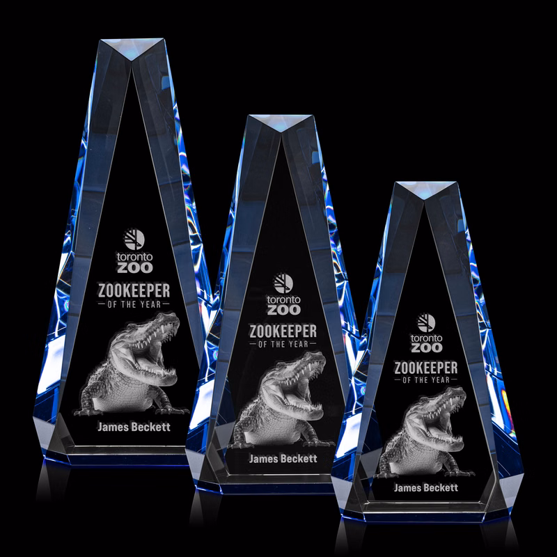 Carmel 3D Award - Blue