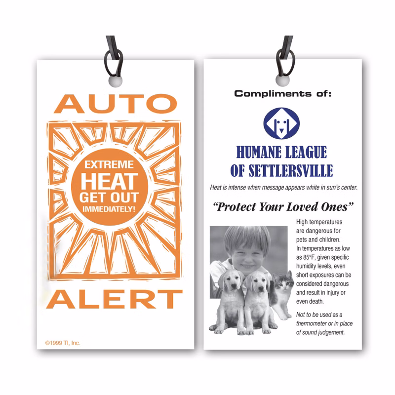 16 Pt Auto Alert Car Thermometer