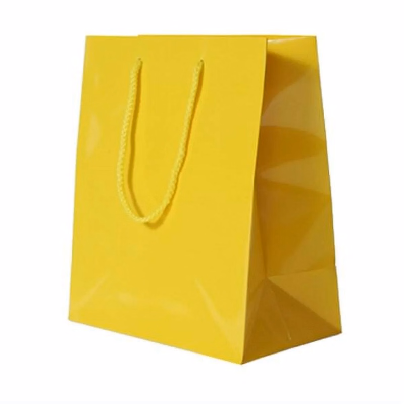 Paper Glossy Gift Bags