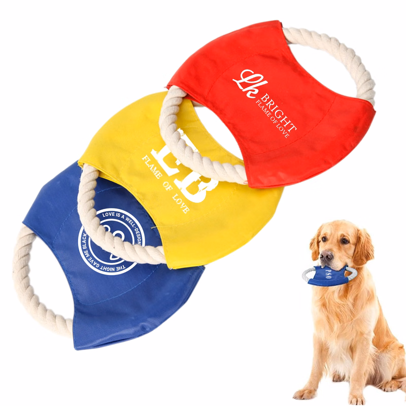 Dog Rope Throwing Flyer