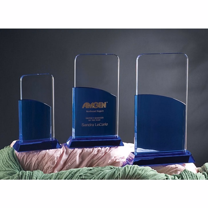 Artistic Expressions Crystal Mid Night Award