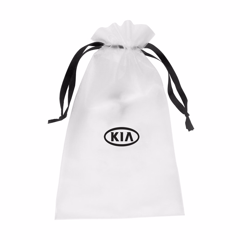 Large Frosted Drawstring Pouch