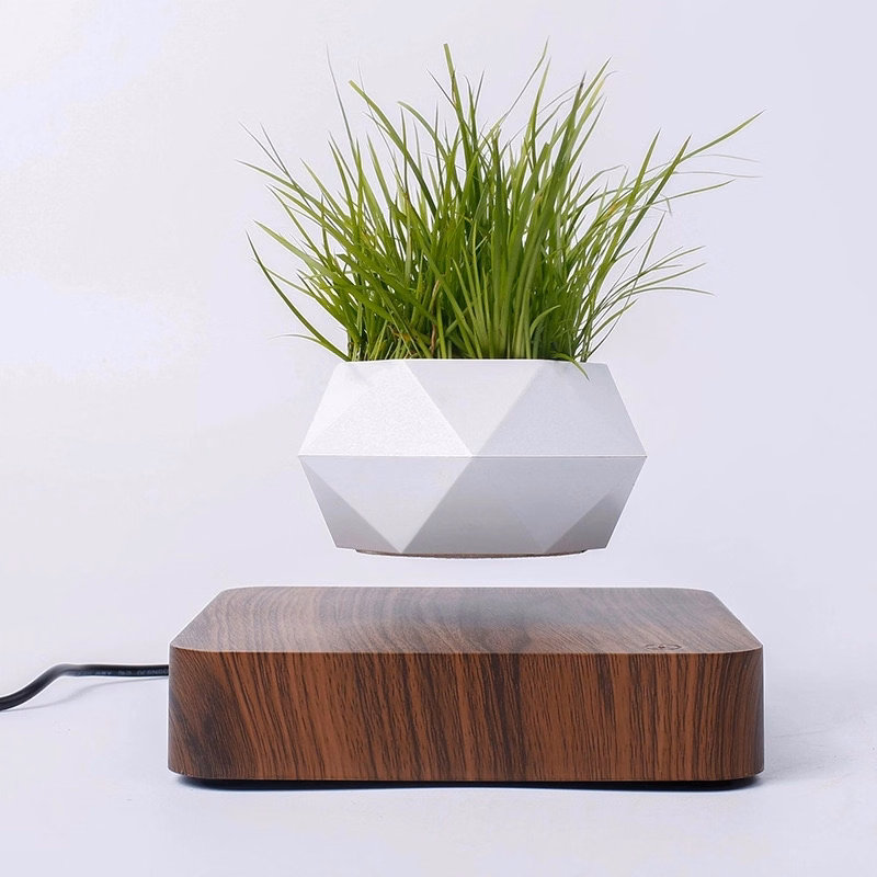 Magnetic Levitating Floating flower planter