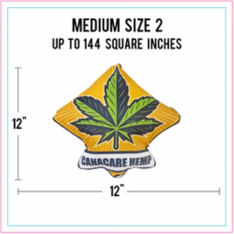 Medium Size 2 Full Color Life-Like Pillow (Up to 144 square inches)